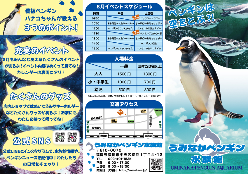 水族館のフライヤー
