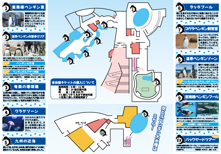 水族館の3面のフライヤー裏面